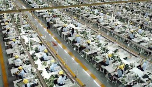 越南“世界工厂”梦碎？4万工厂倒闭，痛失253亿美元订单的背后真相